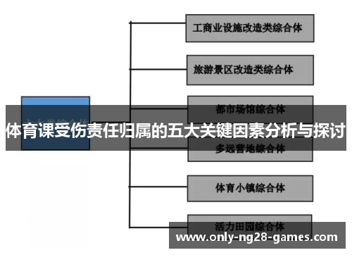 体育课受伤责任归属的五大关键因素分析与探讨