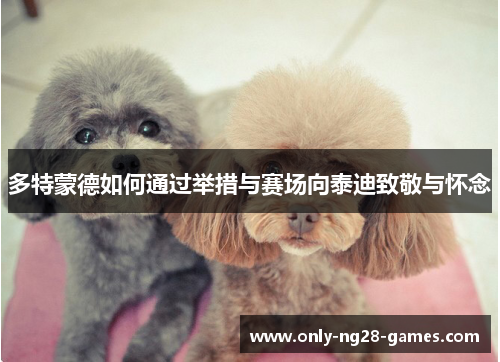 多特蒙德如何通过举措与赛场向泰迪致敬与怀念