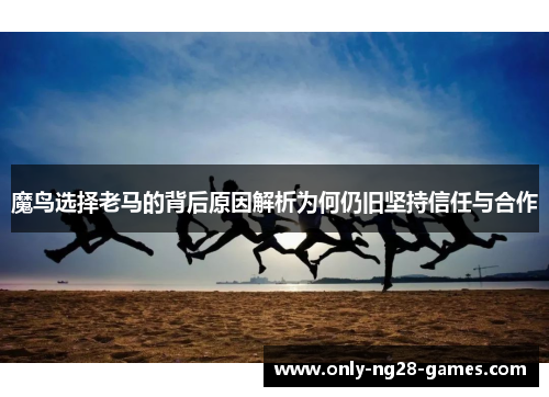 魔鸟选择老马的背后原因解析为何仍旧坚持信任与合作