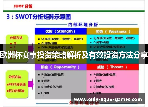 欧洲杯赛事投资策略解析及有效投资方法分享