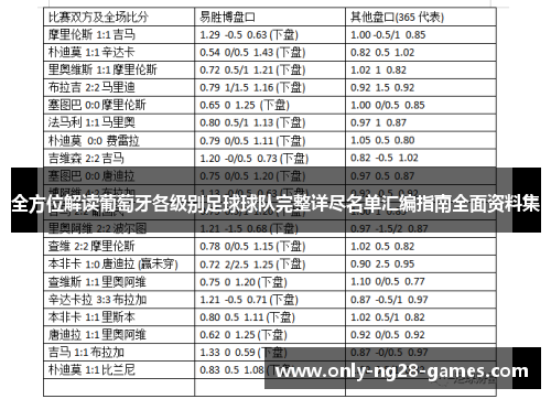 全方位解读葡萄牙各级别足球球队完整详尽名单汇编指南全面资料集 全方位解读葡萄牙各级别足球球队完整详尽名单汇编指南全面资料集